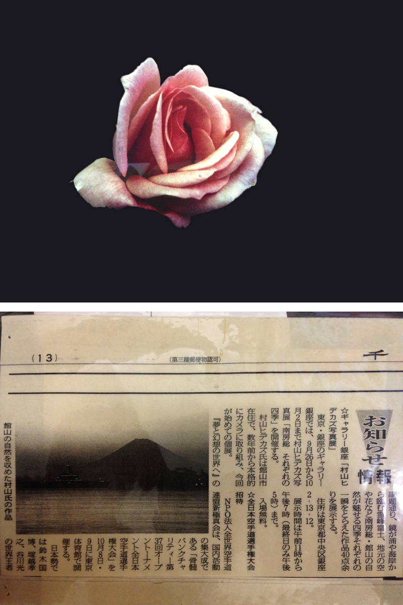 安い特販★Hidekazu,M / A2 / バラ / 薔薇 / Rose / 額付 / オリジナルプリント 17/5_1 自然、風景